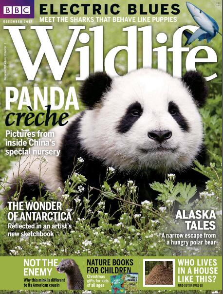 BBC Wildlife（BBC野生动物） 2017年12月